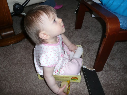 You decided to sit down inside the Apples to Apples box and Uncle Tim and Aunt Mel's Easter party