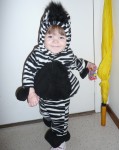baby in ferocious zebra costume