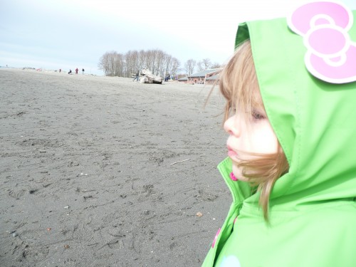 Gem at the beach Gem at the beach