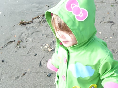 Gem at the beach Gem at the beach